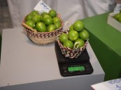 غرفة الأحساء تستعد لإطلاق النسخة الثانية من معرض اللومي الحساوي 2025 