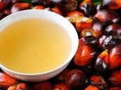 خبر سار لعشاق الطهي.. العلماء يوضحون حقيقة زيت النخيل وصحة القلب