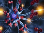 يعالج السكري والتهاب الكبد.. دراسة تؤكد اكتشاف علاج ثوري قد يغيّر حياة مرضى المناعة الذاتية