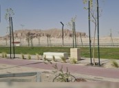 “ممشى العيون”.. وجهة ترفيهية تنعش المدخل الشمالي للأحساء