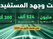 التقاضي الإلكتروني.. إجراءات مختصرة تحافظ على الضمانات القضائية وتحفظ وقت المستفيدين