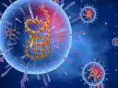 حمى لاسا.. ماذا تعرف عن الفيروس القاتل الذي أودى بحياة 155 شخصًا في نيجيريا؟