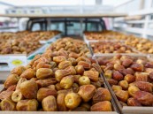 لماذا تُعد الأحساء موطنًا لأجود أنواع التمور في العالم؟.. خبير يجيب