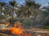 الشرقية تحوّل المخلفات الزراعية إلى ثروة: 600 ألف طن سنويًا بقيمة تتجاوز 90 مليون ريال