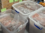 في الأحساء.. ضبط 300 كجم دواجن مجمّدة أعيد تغليفها بملصقات مزيّفة