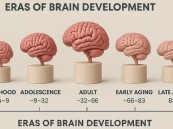 دراسة: مرحلة المراهقة قد تمتد حتى سن 32 عامًا