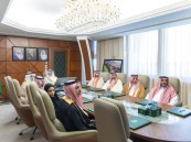 أمير الشرقية يطّلع على مشاريع حماية البيئات البحرية في المنطقة