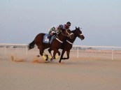 بالصور.. فروسية الأحساء تقيم حفل سباقها الخامس