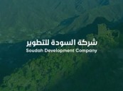 اعرف التخصصات.. تفاصيل وظائف السودة للتطوير لحملة البكالوريوس