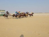 بالصور.. ميدان الفروسية بالأحساء يقيم سباقات الفروسية السادس