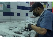 على مدار الساعة.. أمانةالأحساء‬⁩ ⁧‫تؤكد استمرار الرقابة وتطبيق الغرامات على المخالفين دون استثناء