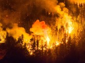 حرائق غابات خارجة عن السيطرة في الأرجنتين.. إجلاء 3000 سائح وتدمير منازل