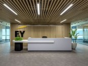 اعرف التخصصات.. وظائف شاغرة في شركة EY للسعوديين من حملة البكالوريوس فأعلى