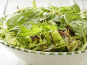 الأحساء تتصدر إنتاج الورقيات بـ19%… وفرة محلية تدعم أسواق رمضان في الشرقية