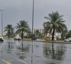 العقارب تدخل غدًا.. الحصيني يوضح خصائص ثالث مواسم الشتاء ومدته