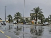 العقارب تدخل غدًا.. الحصيني يوضح خصائص ثالث مواسم الشتاء ومدته