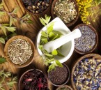 8 أعشاب طبيعية لتخفيف غازات البطن والانتفاخ.. أستاذ العقاقير يوضح