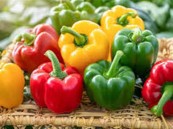 الفلفل الألوان خيار صحي للسحور.. يحافظ على النشاط ويرطب الجسم خلال الصيام
