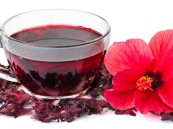 لماذا ينصح الأطباء بالكركديه في رمضان؟