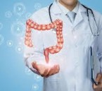 أبحاث جديدة تكشف: الأمعاء قد تتحكم فيما نأكله أكثر مما نعتقد