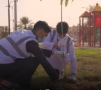 بمشاركة 250 متطوعًا.. أمانة الأحساء تنفذ مبادرة “مدن الجمال الحضري” لتعزيز جمالية المدينة