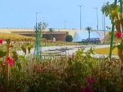 أمانة الأحساء تستحضر الإرث الزراعي في يوم مبادرة السعودية الخضراء