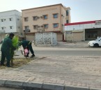 بلدية العيون تطلق المرحلة الثانية من مبادرة “زراعة الشجر”