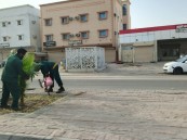 بلدية العيون تطلق المرحلة الثانية من مبادرة “زراعة الشجر”