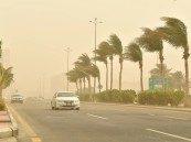 مستمرة حتى 7 مساء.. رياح نشطة وأتربة مثارة على الأحساء وأجزاء من الشرقية اليوم