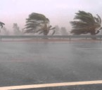 حتى 7 مساء.. أمطار خفيفة ورياح نشطة وأتربة مثارة على الأحساء وأجزاء من الشرقية