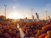 تطوير منظومة إنتاج متكاملة.. أرامكو تعزز قطاع التمور في الأحساء عبر تدريب 200 مستفيد