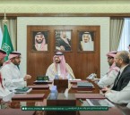 نائب أمير الشرقية يطّلع على مشاريع مجموعة روشن بالمنطقة