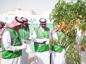 «الحديقة المدرسية المستدامة».. مبادرة لتعزيز الاستدامة داخل مدارس الأحساء