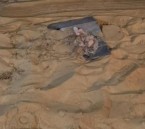 في الشرقية.. ضبط مخالف لإشعاله النار في الأماكن غير المخصصة لها
