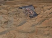 في الشرقية.. ضبط مخالف لإشعاله النار في الأماكن غير المخصصة لها