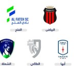 عاجل| من بينهم الفتح.. وزارة الرياضة تعلن طرح 5 أندية ضمن مشروع التخصيص
