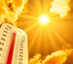 حرّ الأحساء بين القيظ وسهيل.. رحلة الصيف من اللهيب إلى الاعتدال