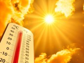 حرّ الأحساء بين القيظ وسهيل.. رحلة الصيف من اللهيب إلى الاعتدال