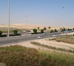 أمانة الأحساء تنجز مشروع تشجير “جسر المطار” تعزيزًا لجودة الحياة