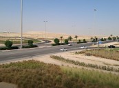 أمانة الأحساء تنجز مشروع تشجير “جسر المطار” تعزيزًا لجودة الحياة
