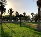 منتزه الملك عبدالله البيئي بالأحساء يفتح أبوابه للزوار على مدار الساعة 