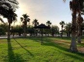 منتزه الملك عبدالله البيئي بالأحساء يفتح أبوابه للزوار على مدار الساعة 