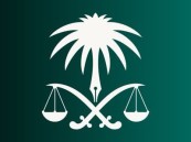 «التحقيق من داخل السجن».. النيابة تطلق خدمتها إلكترونيًا في المملكة