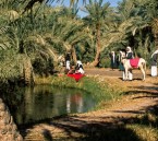 “صور نادرة ” توثّق سيرة الأحساء في صناعة الأمن الغذائي للمملكة والعالم