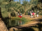 “صور نادرة ” توثّق سيرة الأحساء في صناعة الأمن الغذائي للمملكة والعالم