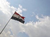 مجلس الدفاع الوطني المصري يؤكد دعمه الكامل للسعودية