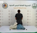 في الشرقية.. ضبط مخالف للائحة مزاولي الأنشطة البحرية في المناطق البحرية للمملكة