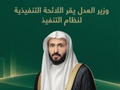 54 مادة ترسم ملامح التنفيذ القضائي الجديد.. التطبيق يبدأ 29 أكتوبر