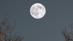 اليوم.. التربيع الأول لشهر ذي القعدة يزيّن السماء