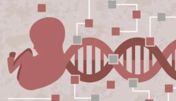 حفلة ما قبل الولادة